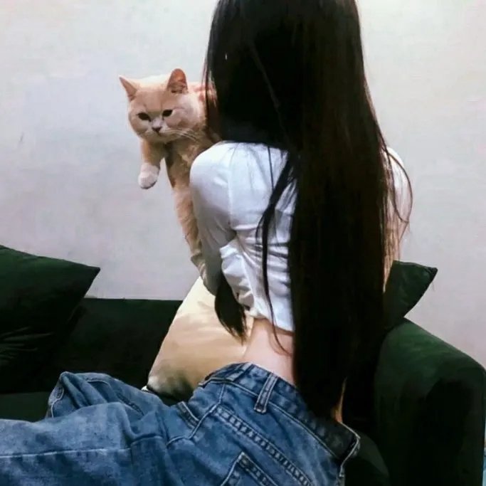 苏贾塔 在线观看