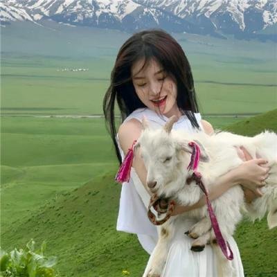 血溅锦山河 在线观看